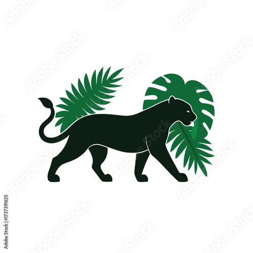 Black panther walking among green tropical leaves jaguar