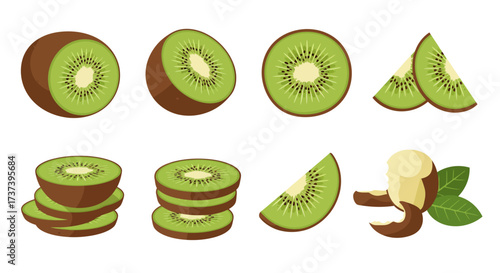 Ripe Kiwi Fruit Slices and Halves Illustration with Peel