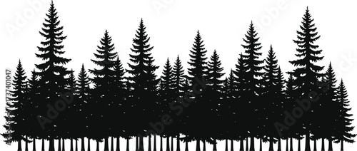 Dense conifer forest silhouette featuring pine and fir trees, evergreen woodland depth, natural foliage pattern, and winter landscape illustration set.