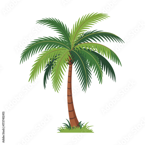 Vibrant green palm tree isolated on a clean white background representing tropical destinations