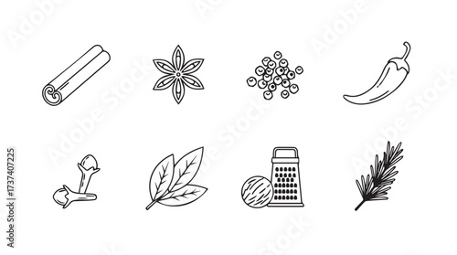 Collection of hand drawn culinary herbs and spices sketches for food and cooking vector
