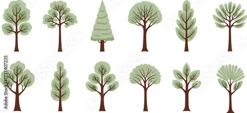 Stylized tree variety set with unique foliage shapes, canopy styles, and trunk forms for botanical education, design, and nature illustration