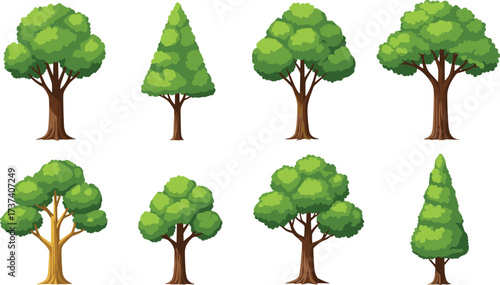 Stylized tree variety set with unique canopy shapes, trunk forms, and foliage patterns for nature education, landscape design, and illustration