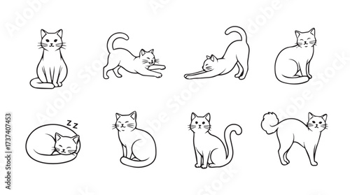 Collection of diverse cat poses sketchy outline art for creative projects and design elements vector