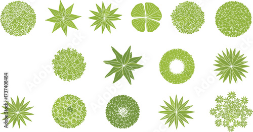 Top-down botanical tree canopy vector set with stylized foliage, seasonal contrast, landscape design elements, nature symbols, and geometric plant forms