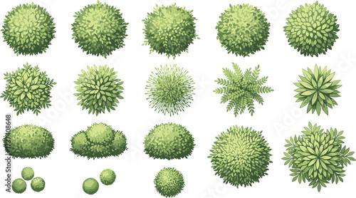 Top-down bush and shrub vector set with varied foliage textures, garden planning icons, landscape design elements, and botanical illustration styles
