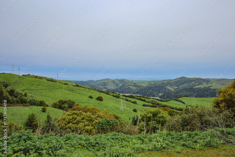 Naklejka premium Green hills overlooking a river and power lines
