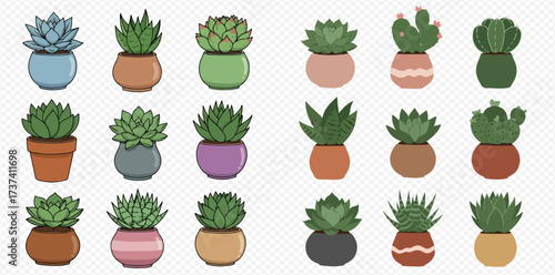A collection of eighteen cartoon succulent and cactus plants in colorful pots, isolated on a transparent background.