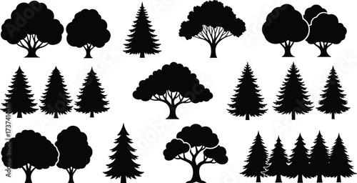 Tree silhouette vector set with conifer and deciduous forms, botanical diversity, nature icons, forest design elements, and landscape illustration styles