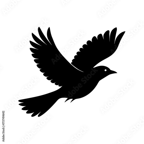 Bird Flying – Graceful Flight in Nature