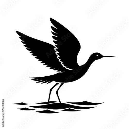 Bird Skimming Surface – Graceful Flight Over Water