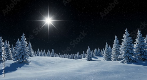 Christmas card with winter night landscape, fir forest and bright star of Bethlehem shining in the sky	
