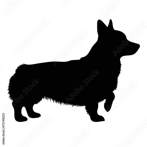 Black corgi dog raising paw silhouette illustration