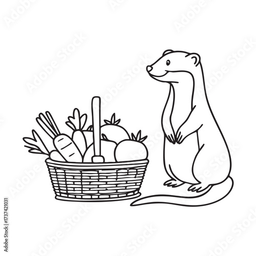 A weasel near a basket filled with harvested vegetables