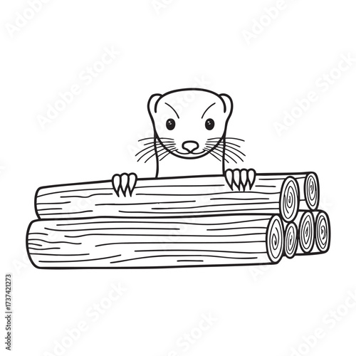 A weasel peeking out from behind a stack of firewood