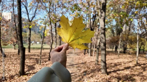  A yellow maple leaf held by a woman's hand in an autumn park.