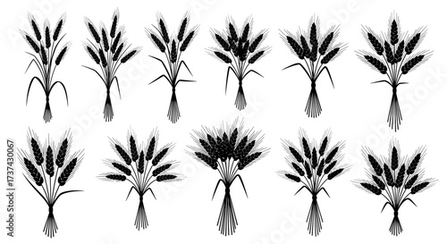 Illustrations of various wheat stalks and bundles in a stylized graphic design.