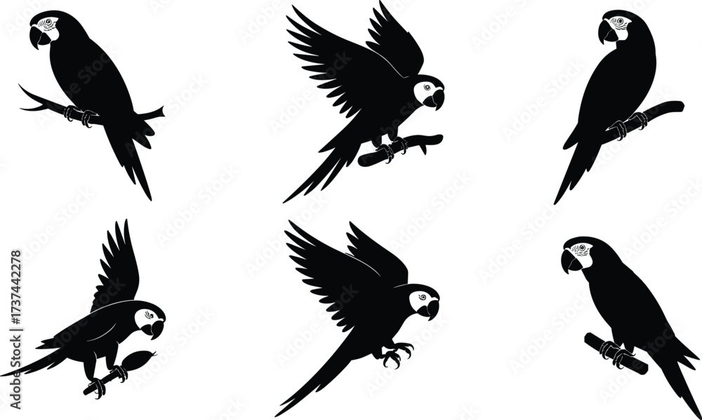 Obraz premium Parrot silhouette vector illustration, flying bird poses, tropical wildlife scene, black flat design, cad drawing flat vector illustration