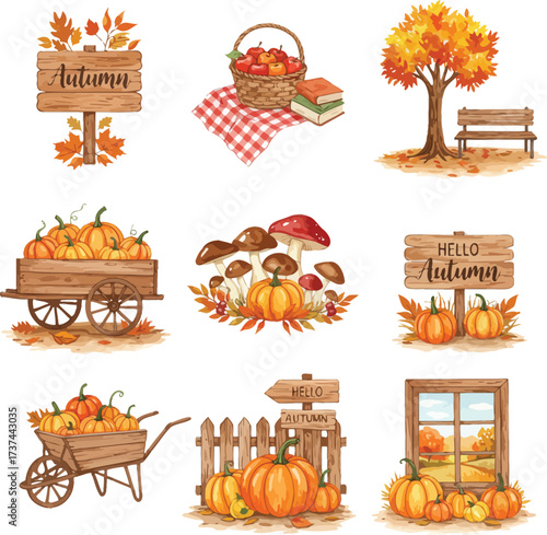 Autumn harvest collection featuring pumpkins gourds leaves and seasonal decorations