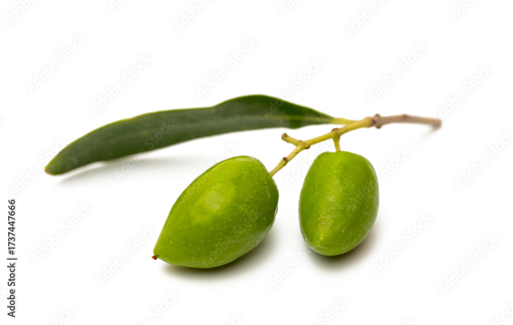 Obraz premium A branch with olives isolated