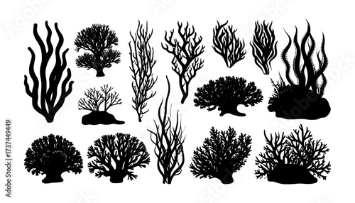 Marine coral silhouette vector collection features diverse seaweed and coral reef shapes, ideal for underwater, ocean, and aquatic themed graphic designs.