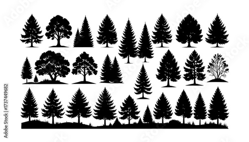 Evergreen tree silhouette vector set features various pine, fir, and spruce tree outlines in black for landscape, design, or nature themes.