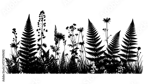 Botanical silhouette wild fern meadow features detailed black silhouettes of various wild plants, ferns, and flowers, isolated on a clean white background.