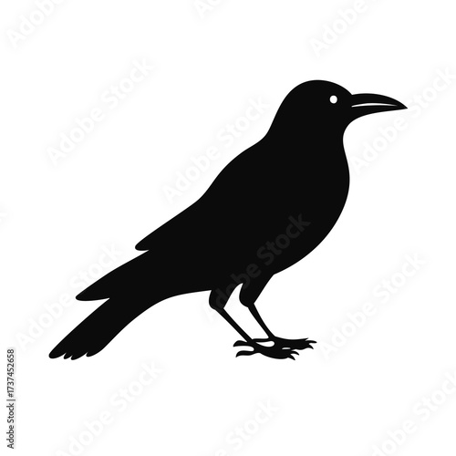 Black silhouette of a crow with a white eye on a white background