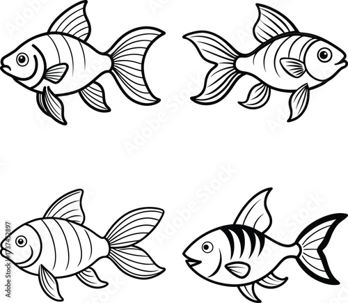 Tropical fish collection isolated on white
