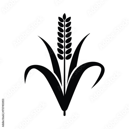 Black silhouette of a wheat stalk with leaves grain