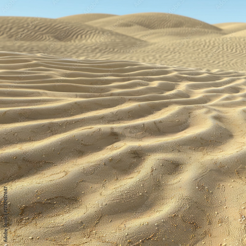 Fototapeta premium Seamless sand ripples texture
