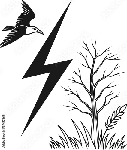 bird of paradise