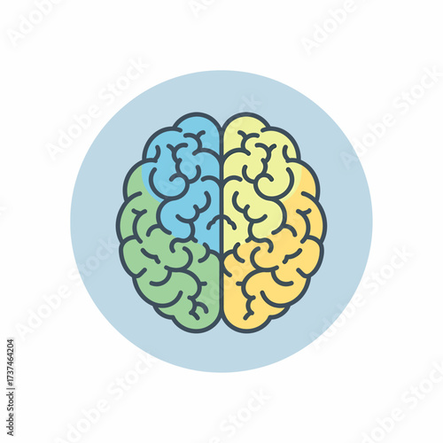A stylized illustration of a human brain divided into four distinct color-coded lobes, set against a soft blue circular background.