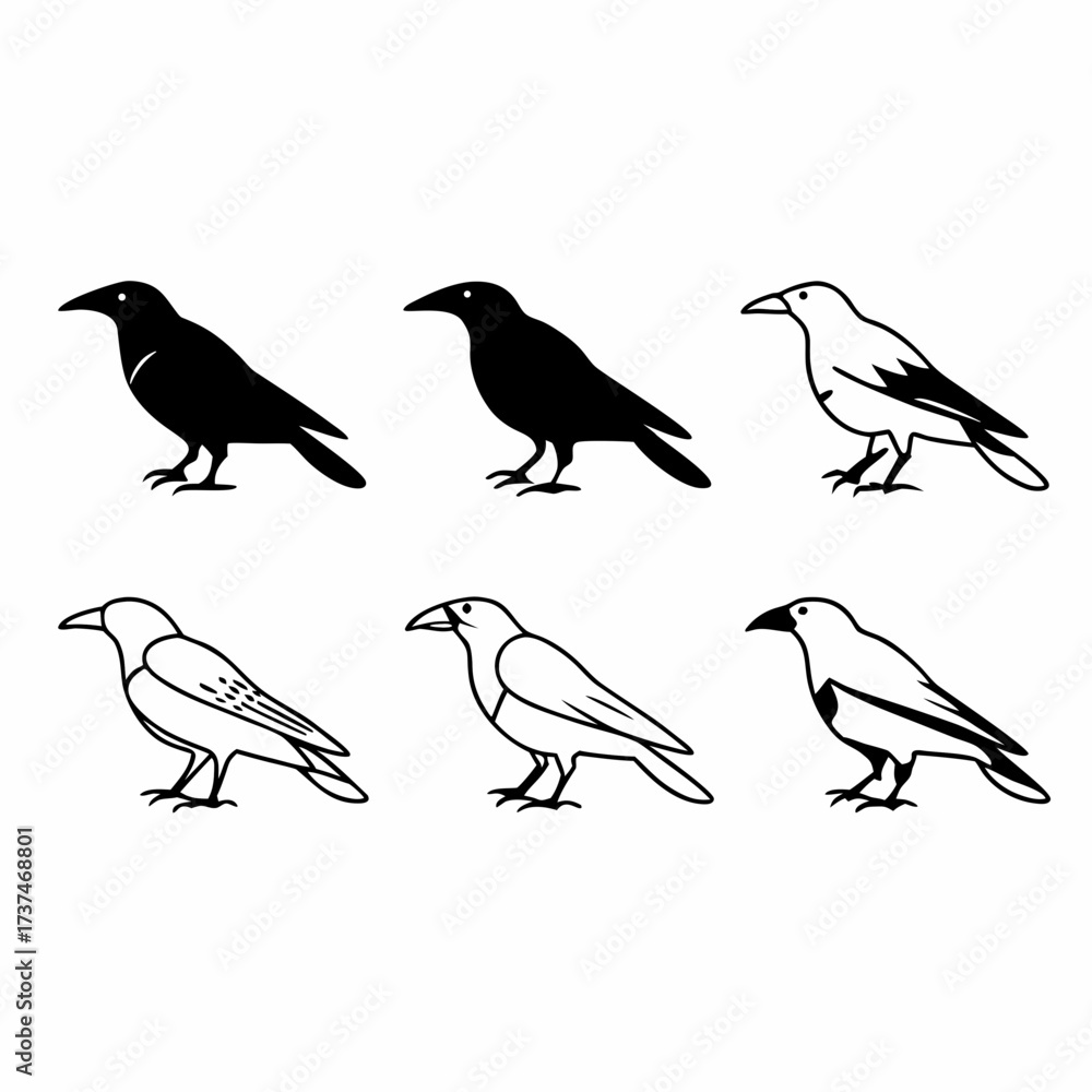 Fototapeta premium Illustration of six ravens in black and white vector art