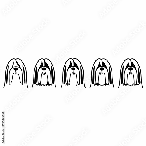 Group of lhasa apso dog head illustrations for various design purposes