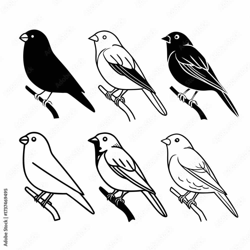 Fototapeta premium Six charming finches perch gracefully, , showcasing their unique silhouettes and delicate features