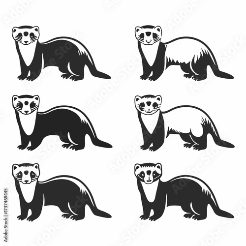 Set of six cute cartoon ferret illustrations, in various poses and expressions
