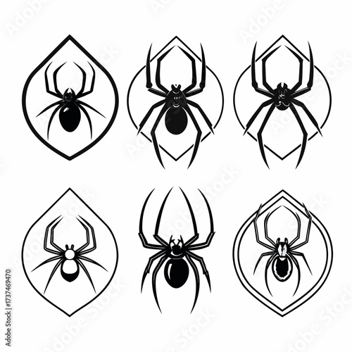 Set of six spider illustrations, each with a unique design and geometric frame