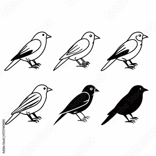 A delightful assembly of six finches, , each displaying a unique pose and charming character