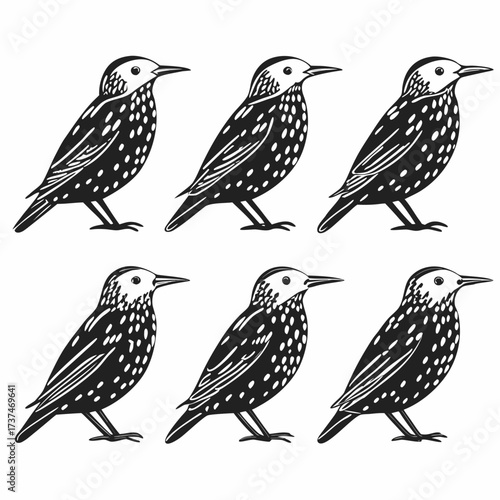 Six european starlings standing in a group, vector illustration style