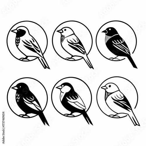 Six sparrows standing in a circle, vector illustration style