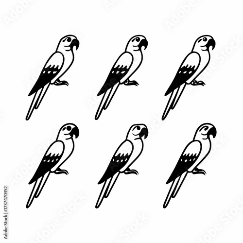 Six parrots perched, , showcasing different styles and variations of the tropical bird