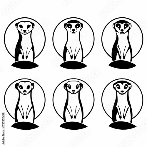 Collection of meerkat icons, showcasing various poses and design elements