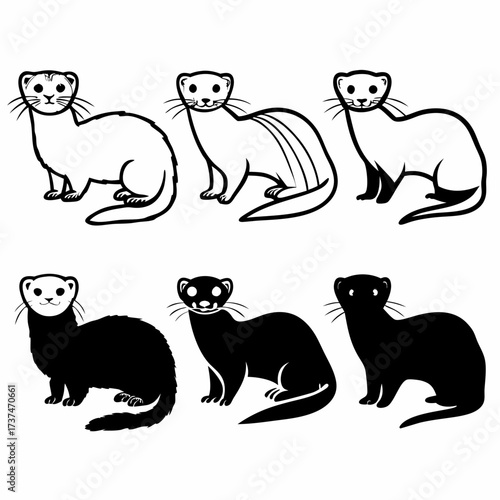 Collection of six different black and white stoat or ermine illustrations