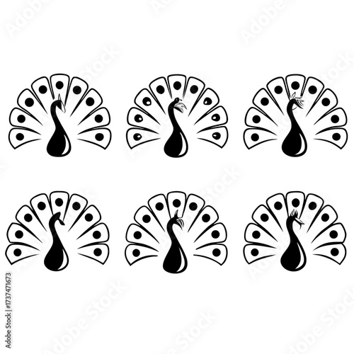 Illustration of six peacocks in black and white, each with its tail feathers displayed