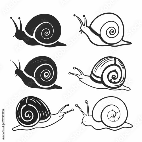 Six snails in various styles, a charming collection of gastropods in black and white