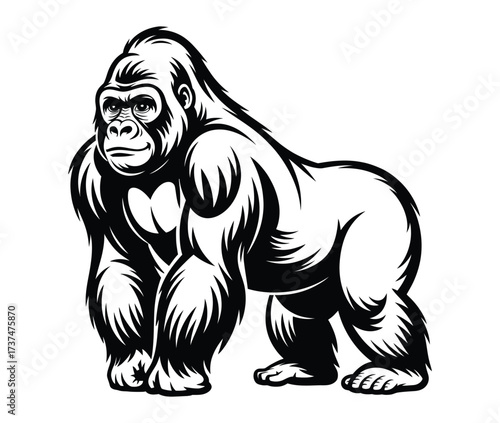 Powerful silverback gorilla standing muscular primate wild animal illustration