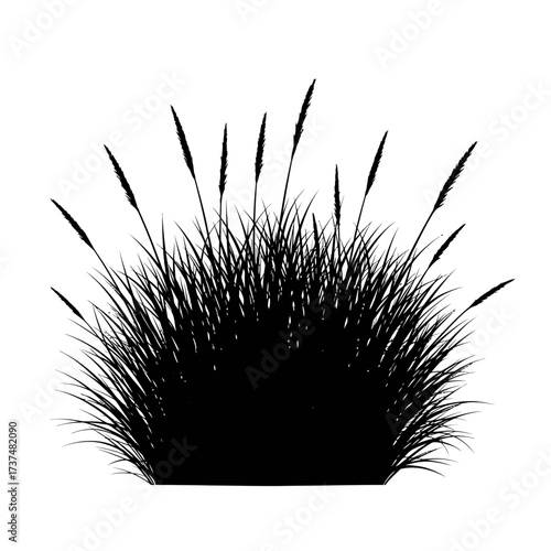 Silhouette of ornamental grass bush with plumes silhouette realistic and detailed botanical element silhouette flat design vector illustration white background