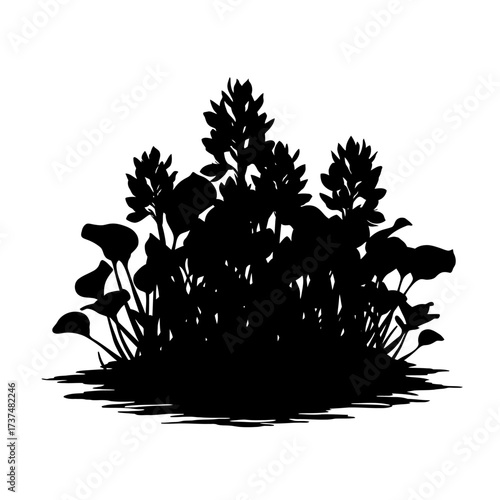 Silhouette of aquatic plant cluster with spiky flowers and broad leaves for nature design silhouette flat design vector illustration white background