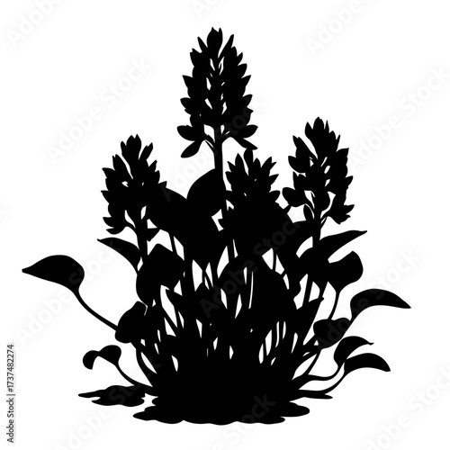 Silhouette of a lush flowering aquatic plant with broad leaves and tall bloom spikes isolated on white. silhouette flat design vector illustration white background